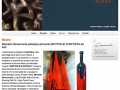 creative_asti_BOTTIGLIE_ARTISTA_news_giovannone