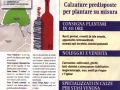 creative_asti_BOTTIGLIE_ARTISTA_winestreet_1